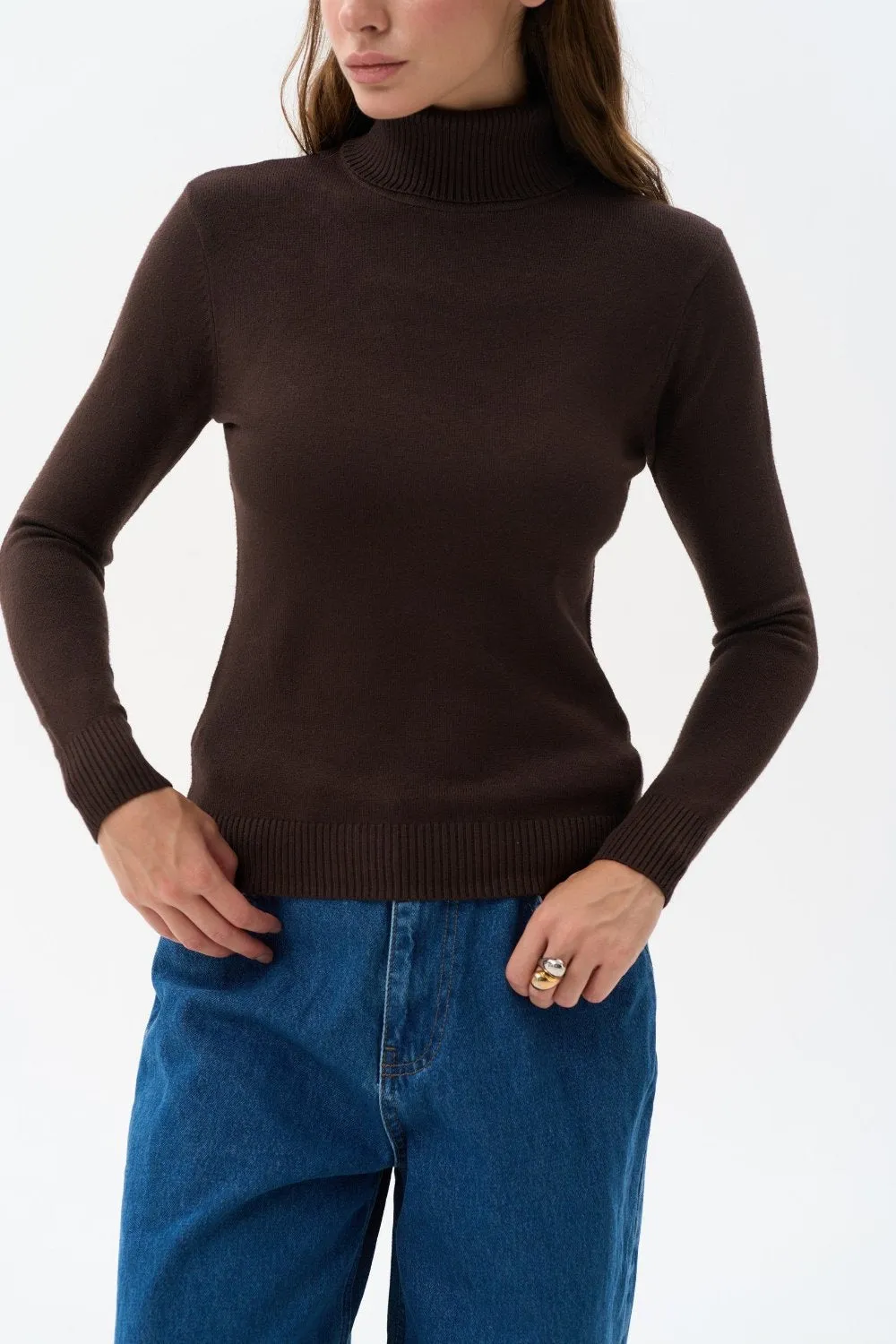 Brown Basic Knit Turtleneck Sweater