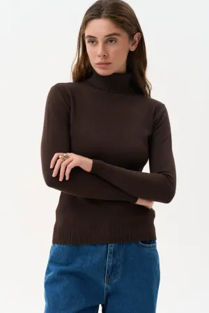 Brown Basic Knit Turtleneck Sweater